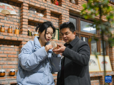 “熊猫抱竹”绕纤丝 非遗盖碗飘茶香